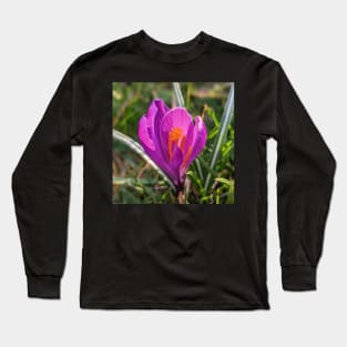 Orange and Purple Flower in the Sun 2 Long Sleeve T-Shirt